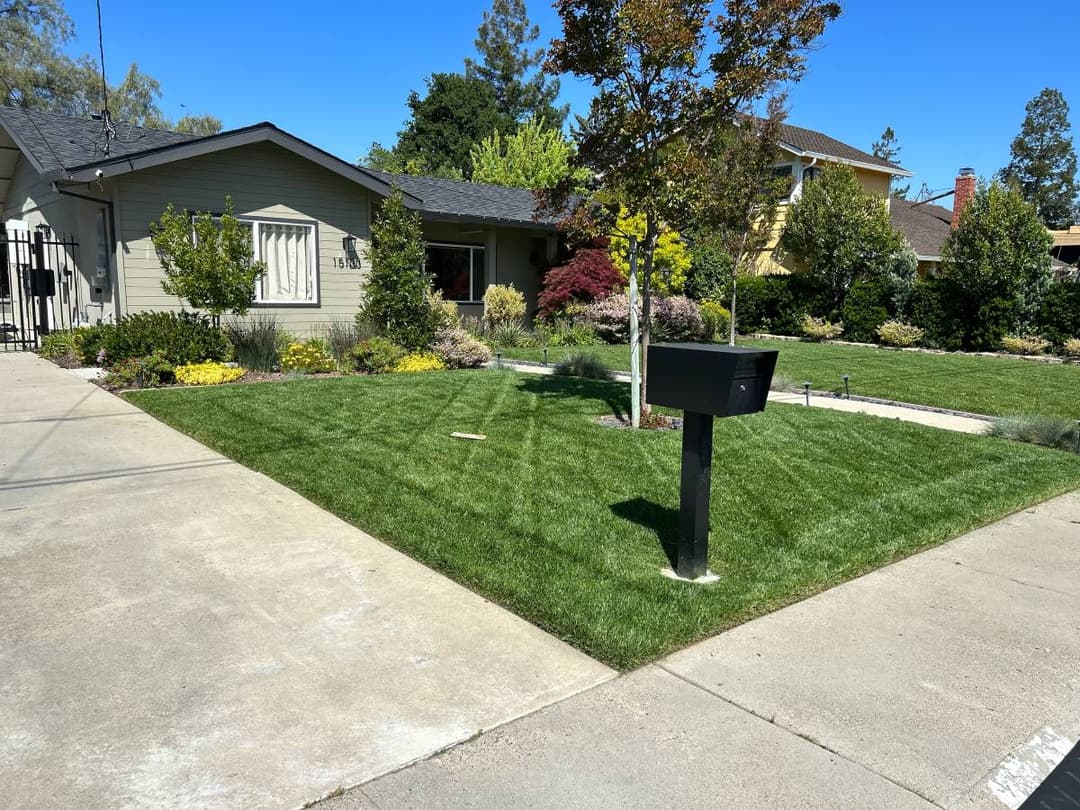 picture of a front yard with beautiful landscaping and trimmed brush