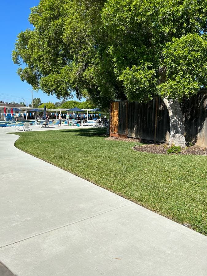 picture of a front yard with freshly cut grass