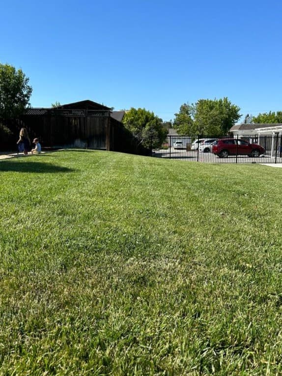 picture of a front yard with a freshly mowed lawn